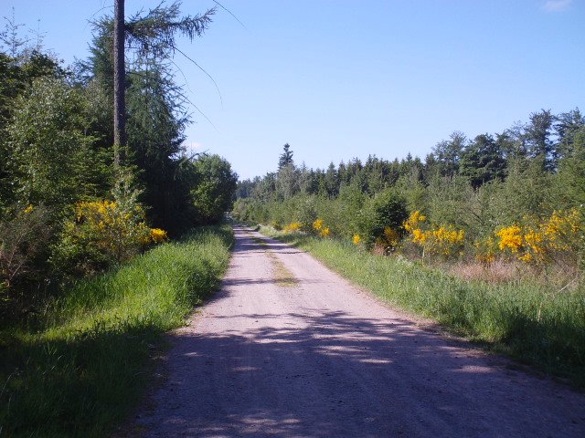 2014hwk 037.jpg
